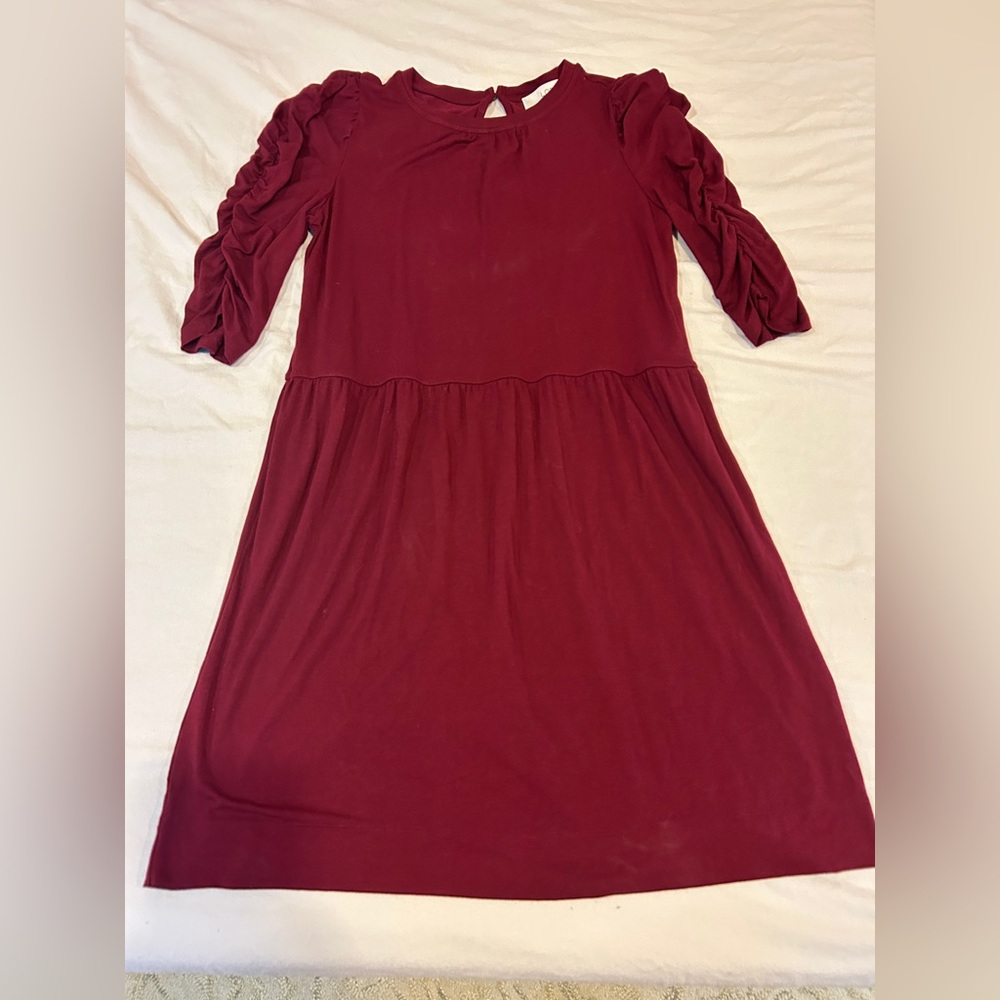 LOFT Elegant Ruffle Sleeve Knee Length Burgundy Women's M Dress